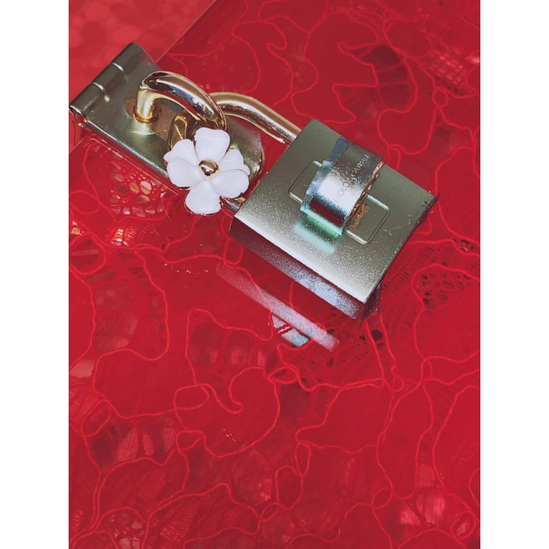 DOLCE GABBANA - PLEXIGLASS LACE DOLCE CLUTCH