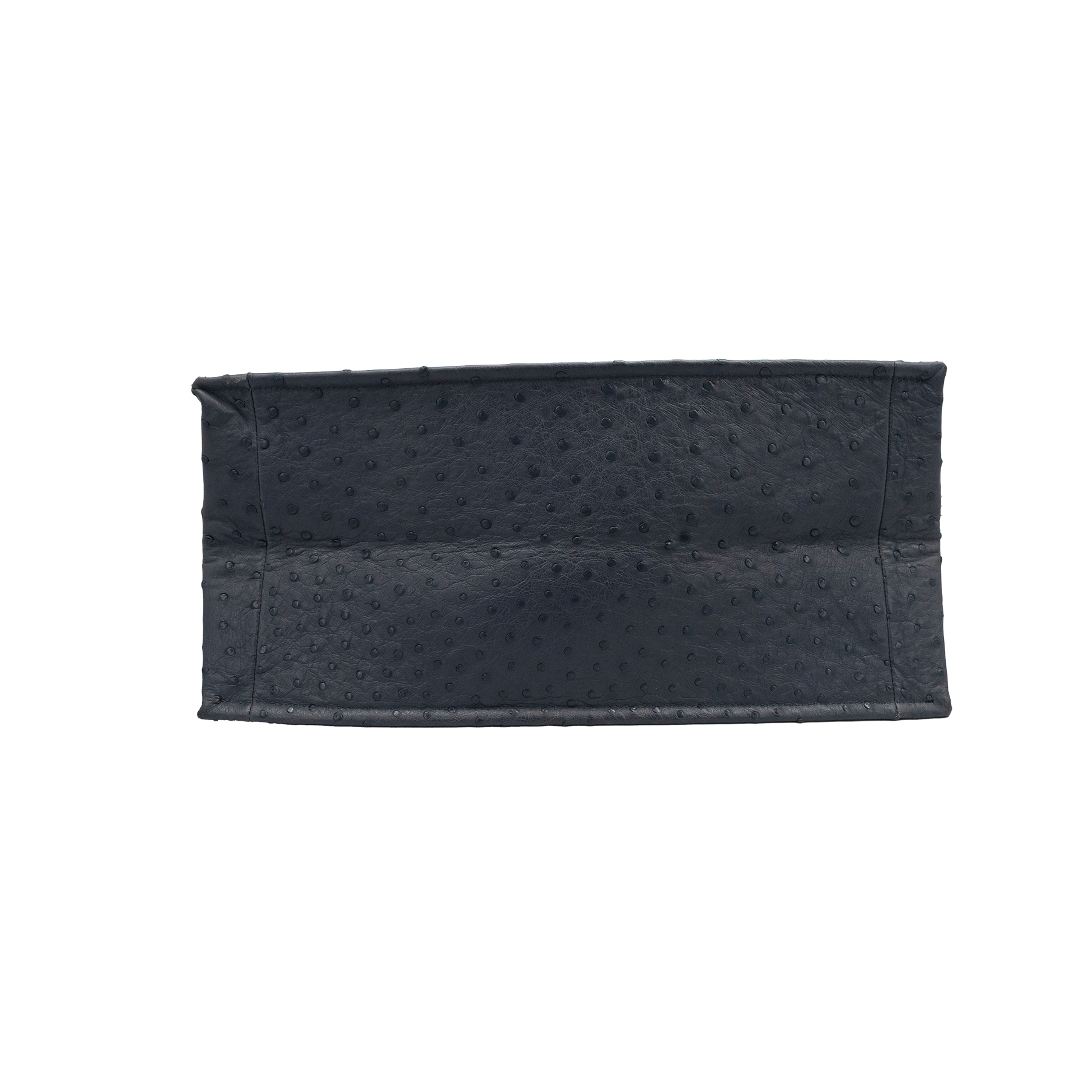 Dior Book Tote Bag Ostrich Leather My Store