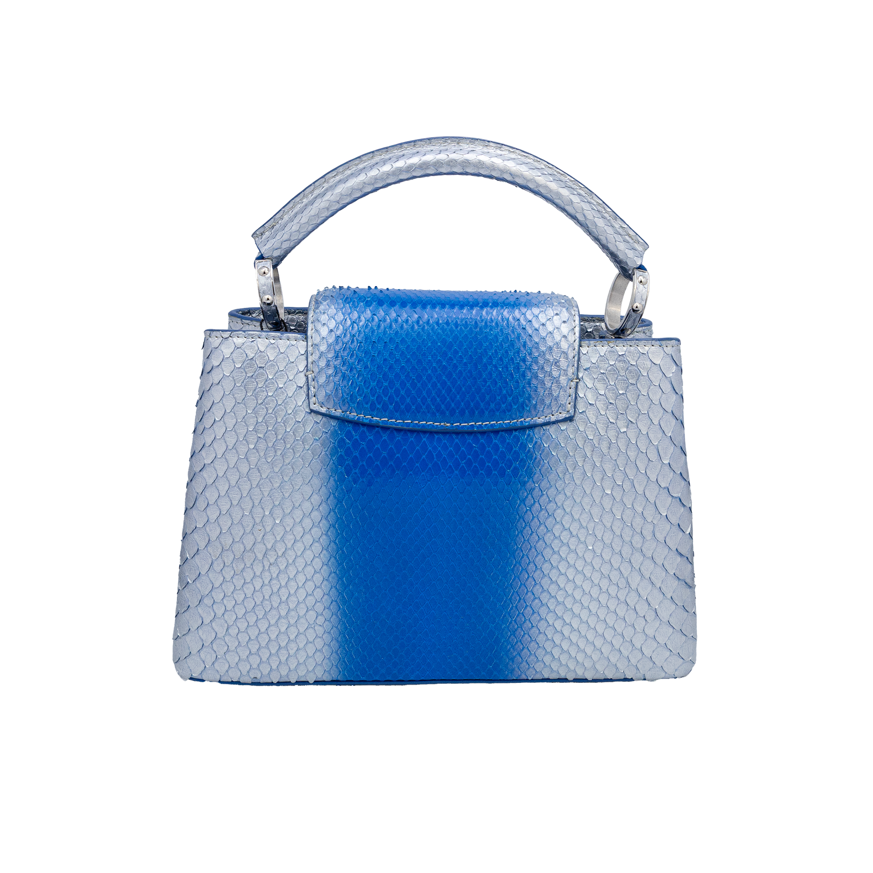 Louis Vuitton Bicolor Python Capucines BB Bag