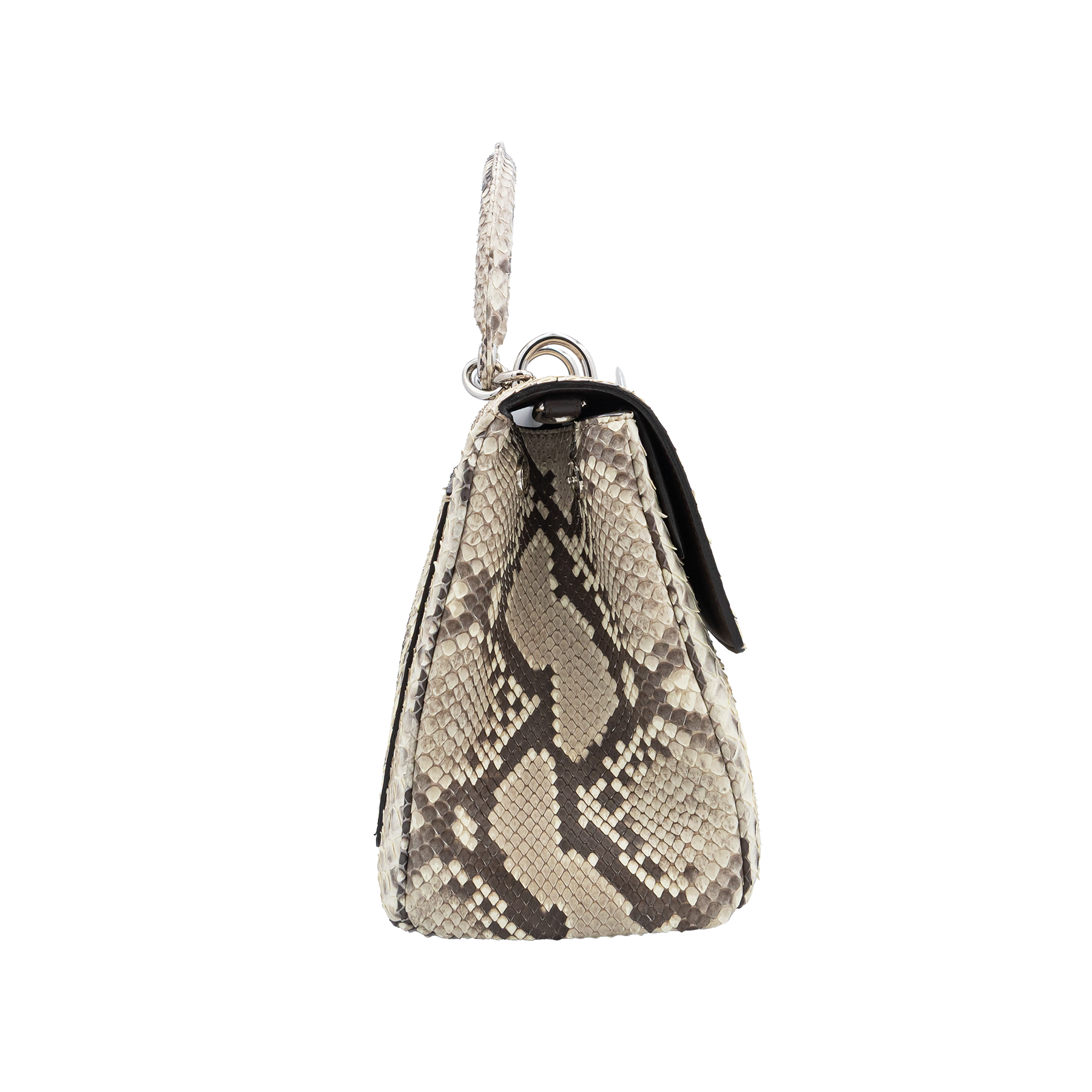 Dior Beige Python Medium Be Dior Flap Top Handle Bag