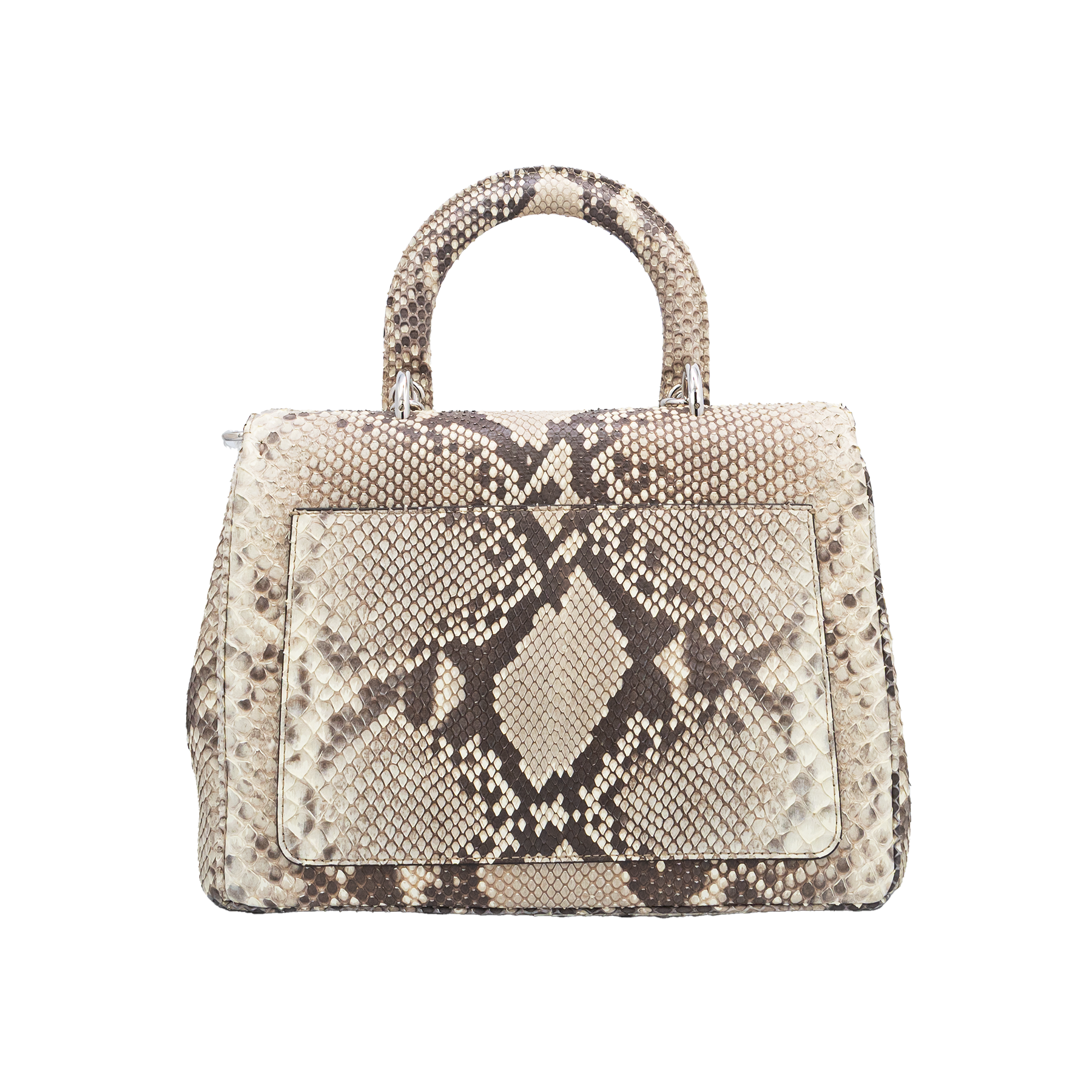 Dior Beige Python Medium Be Dior Flap Top Handle Bag